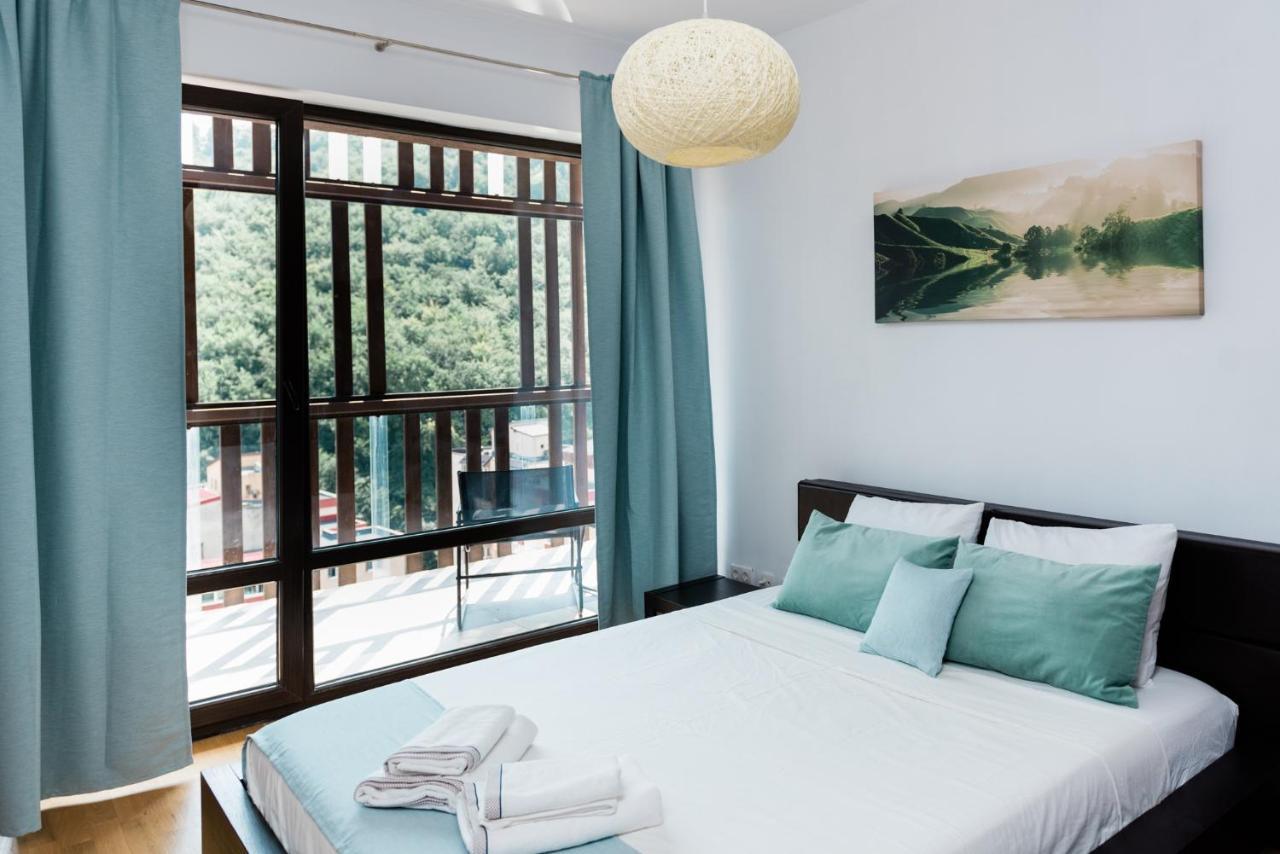 Nature Escape Apartment براشوف المظهر الخارجي الصورة